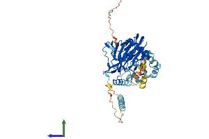 AlphaFold protein structure predicition of Mouse Recombinant P4htm Protein, UniprotID Q8BG58