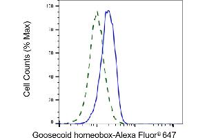 Validation of Goosecoid homeobox knockdown using flow cytometry. (Recombinant GSC anticorps)