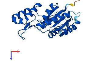 AlphaFold protein structure predicition of Mouse Recombinant Ssu72 Protein, UniprotID Q9CY97