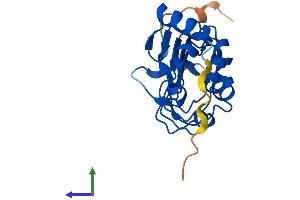 AlphaFold protein structure predicition of Mouse Recombinant Lrrc51 Protein, UniprotID Q9DAK8