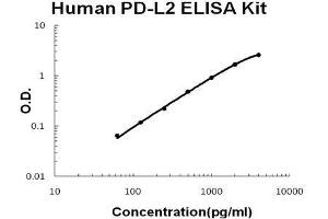 Human PD-L2/B7-DC PicoKine ELISA Kit standard curve (PDCD1LG2 Kit ELISA)
