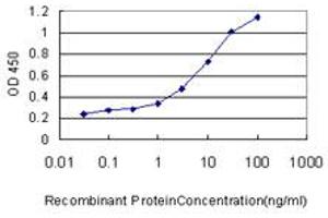 Detection limit for recombinant GST tagged PIGO is approximately 0. (PIGO anticorps  (AA 1-454))