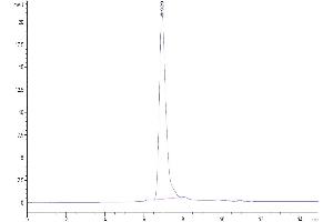 The purity of Human RGMa is greater than 95 % as determined by SEC-HPLC.