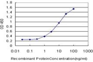 Detection limit for recombinant GST tagged CYP1B1 is approximately 0.