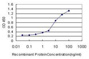 Detection limit for recombinant GST tagged PPARBP is approximately 0. (MED1 anticorps  (AA 1391-1490))