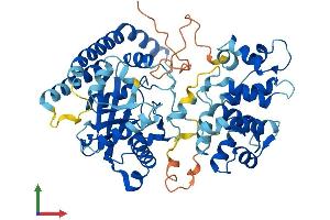 AlphaFold protein structure predicition of Human Recombinant LPCAT1 Protein, UniprotID Q8NF37