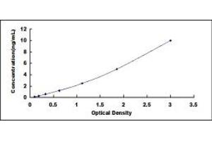 Typical standard curve (CDK1 Kit ELISA)