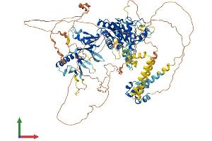 AlphaFold protein structure predicition of Human Recombinant SEC23IP Protein, UniprotID Q9Y6Y8
