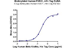 Immobilized Biotinylated Human FGF21, mFc Tag at 2 μg/mL (100 μL/well) on the streptavidin precoated plate (5 μg/mL).