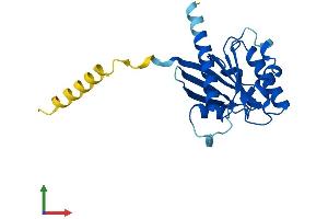 AlphaFold protein structure predicition of Mouse Recombinant Arl15 Protein, UniprotID Q8BGR6
