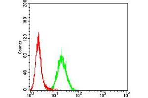 Flow cytometric analysis of Hela cells using ELANE mouse mAb (green) and negative control (red).