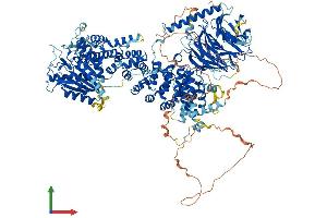 AlphaFold protein structure predicition of Mouse Recombinant Rptor Protein, UniprotID Q8K4Q0