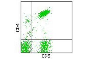 Flow Cytometry (FACS) image for anti-CD3/CD4 antibody (FITC,PE) (ABIN2144394) (CD3/CD4 anticorps (FITC,PE))