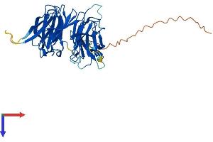 AlphaFold protein structure predicition of Human Recombinant SEH1L Protein, UniprotID Q96EE3