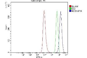 Flow Cytometry analysis of HEL cells using anti-CAPON/NOS1AP antibody (ABIN7600833).