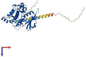 AlphaFold protein structure predicition of Mouse Recombinant Dapk2 Protein, UniprotID Q8VDF3