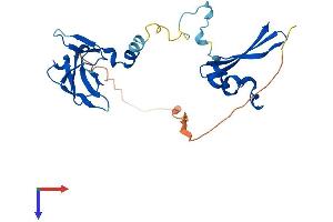 AlphaFold protein structure predicition of Mouse Recombinant Prkab2 Protein, UniprotID Q6PAM0