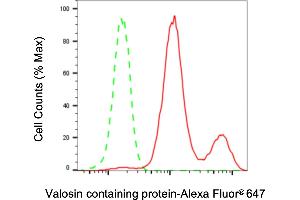 Flow cytometric analysis of Valosin containing protein expression in HepG2 cells using Valosin containing protein antibody (ABIN7800819), 1:2,000). (VCP anticorps)