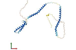 AlphaFold protein structure predicition of Human Recombinant NSL1 Protein, UniprotID Q96IY1