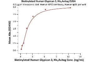 Glypican 3 (GPC3) (AA 25-559) (Active) protein (His tag,AVI tag,Biotin)