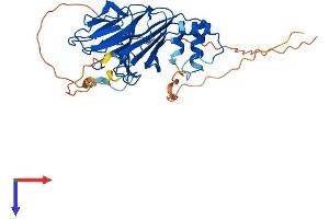 AlphaFold protein structure predicition of Mouse Recombinant Spsb3 Protein, UniprotID Q571F5
