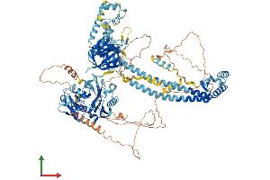 AlphaFold protein structure predicition of Mouse Recombinant Nemf Protein, UniprotID Q8CCP0