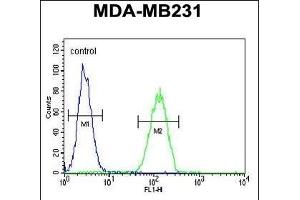 NEU1 Antibody (Center) (ABIN653650 and ABIN2842991) flow cytometric analysis of MDA-M cells (right histogram) compared to a negative control (left histogram). (NEU1 anticorps  (AA 11-40))