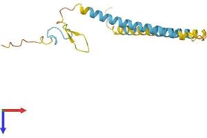 AlphaFold protein structure predicition of Mouse Recombinant Srek1ip1 Protein, UniprotID Q4V9W2