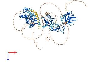 AlphaFold protein structure predicition of Mouse Recombinant Fgd4 Protein, UniprotID Q91ZT5