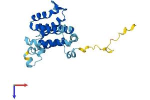 AlphaFold protein structure predicition of Human Recombinant DERL3 Protein, UniprotID Q96Q80