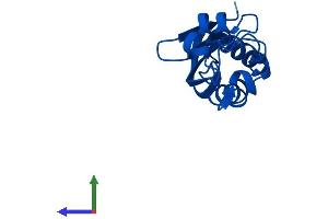 AlphaFold protein structure predicition of Human Recombinant PTS Protein, UniprotID Q03393