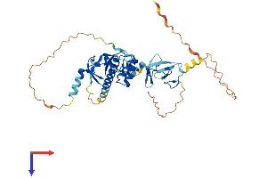 AlphaFold protein structure predicition of Mouse Recombinant Isl2 Protein, UniprotID Q9CXV0