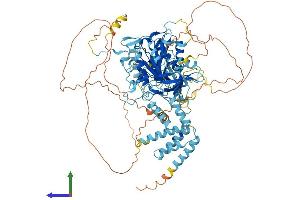 AlphaFold protein structure predicition of Human Recombinant INTS6L Protein, UniprotID Q5JSJ4