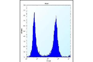 FCN3 Antibody (C-term) (ABIN656492 and ABIN2845769) flow cytometric analysis of K562 cells (right histogram) compared to a negative control cell (left histogram). (FCN3 anticorps  (C-Term))