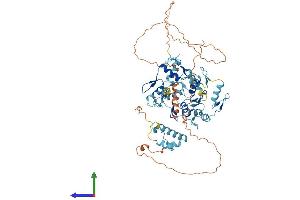 AlphaFold protein structure predicition of Human Recombinant ZNF792 Protein, UniprotID Q3KQV3