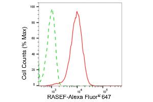 Flow cytometric analysis of RASEF expression in HepG2 cells using RASEF antibody (ABIN7800136), 1:2,000). (Recombinant RASEF anticorps)