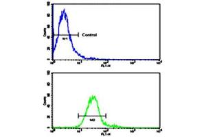 Flow cytometric analysis of NCI-H460 cells using ROR1 polyclonal antibody (bottom histogram) compared to a negative control cell (top histogram).