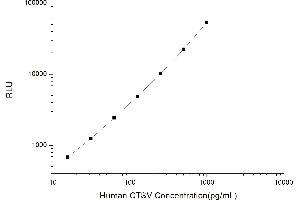Typical standard curve (Cathepsin L2 Kit CLIA)