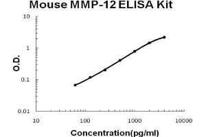 Mouse MMP-12 PicoKine ELISA Kit standard curve (MMP12 Kit ELISA)