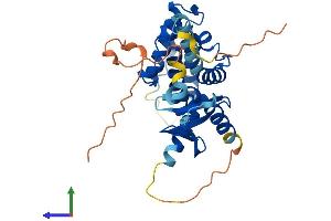 AlphaFold protein structure predicition of Human Recombinant GAS2 Protein, UniprotID O43903