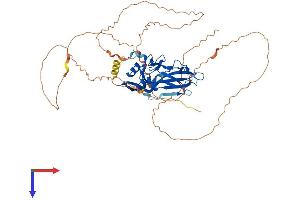 AlphaFold protein structure predicition of Mouse Recombinant Tbx5 Protein, UniprotID P70326