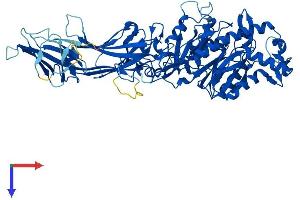 AlphaFold protein structure predicition of Mouse Recombinant Padi3 Protein, UniprotID Q9Z184