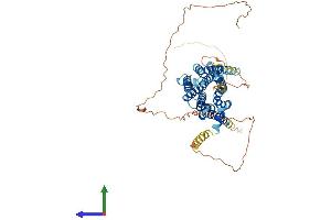 AlphaFold protein structure predicition of Mouse Recombinant Adra1b Protein, UniprotID P97717
