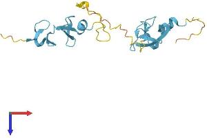 AlphaFold protein structure predicition of Human Recombinant CSRP2 Protein, UniprotID Q16527