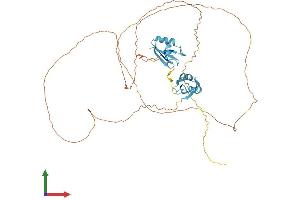 AlphaFold protein structure predicition of Human Recombinant SRSF4 Protein, UniprotID Q08170