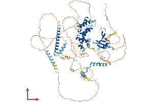 AlphaFold protein structure predicition of Mouse Recombinant Axin1 Protein, UniprotID O35625