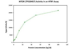 Bioactivity measured with Activity Assay