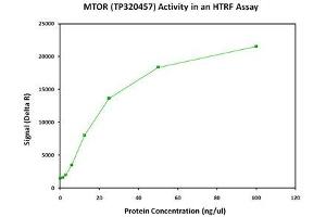Bioactivity measured with Activity Assay (MTOR Protein (Myc-DYKDDDDK Tag))