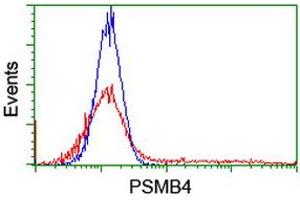 HEK293T cells transfected with either RC205723 overexpress plasmid (Red) or empty vector control plasmid (Blue) were immunostained by anti-PSMB4 antibody (ABIN2455091), and then analyzed by flow cytometry. (PSMB4 anticorps)