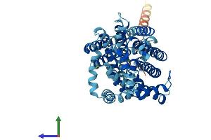 AlphaFold protein structure predicition of Human Recombinant SLC7A9 Protein, UniprotID P82251